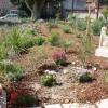 Réalisation d'un jardin