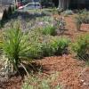 Réalisation d'un jardin