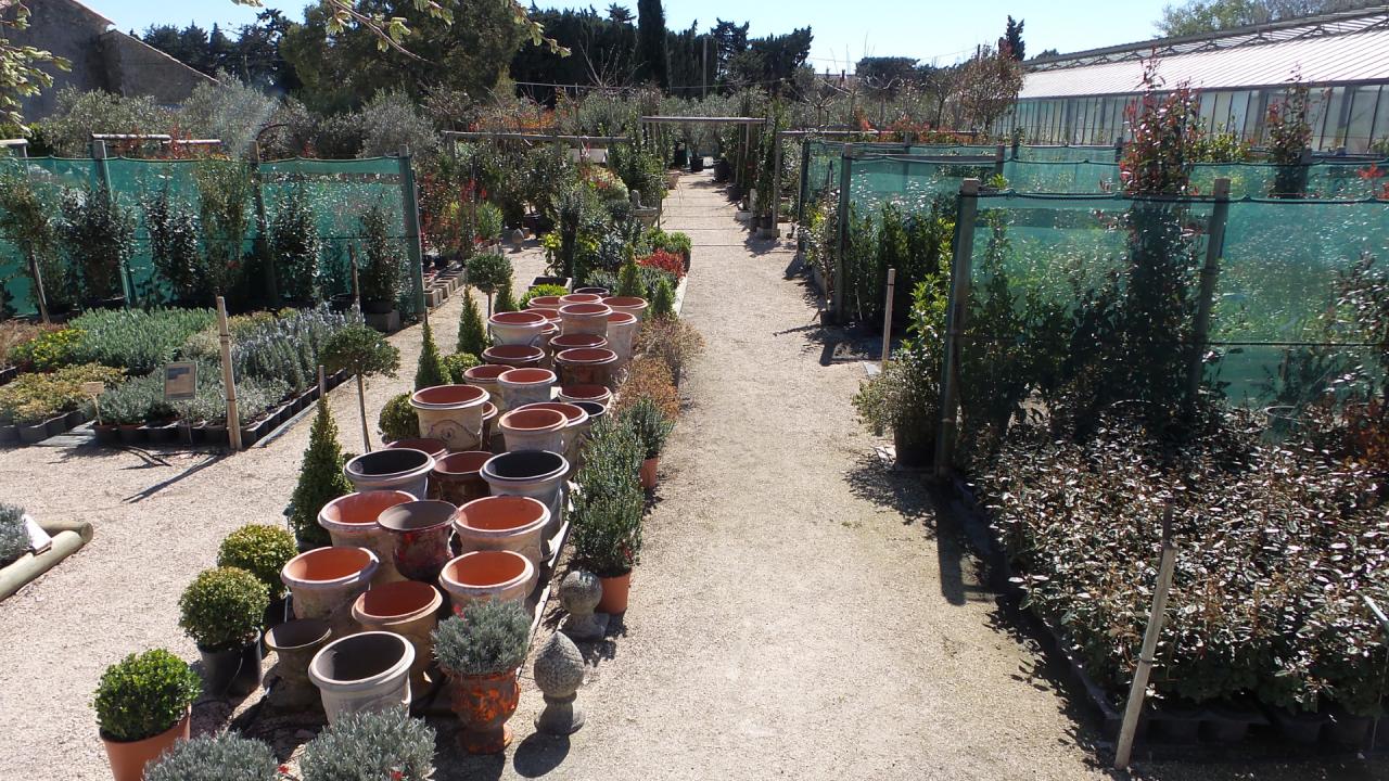 espace pépinière
