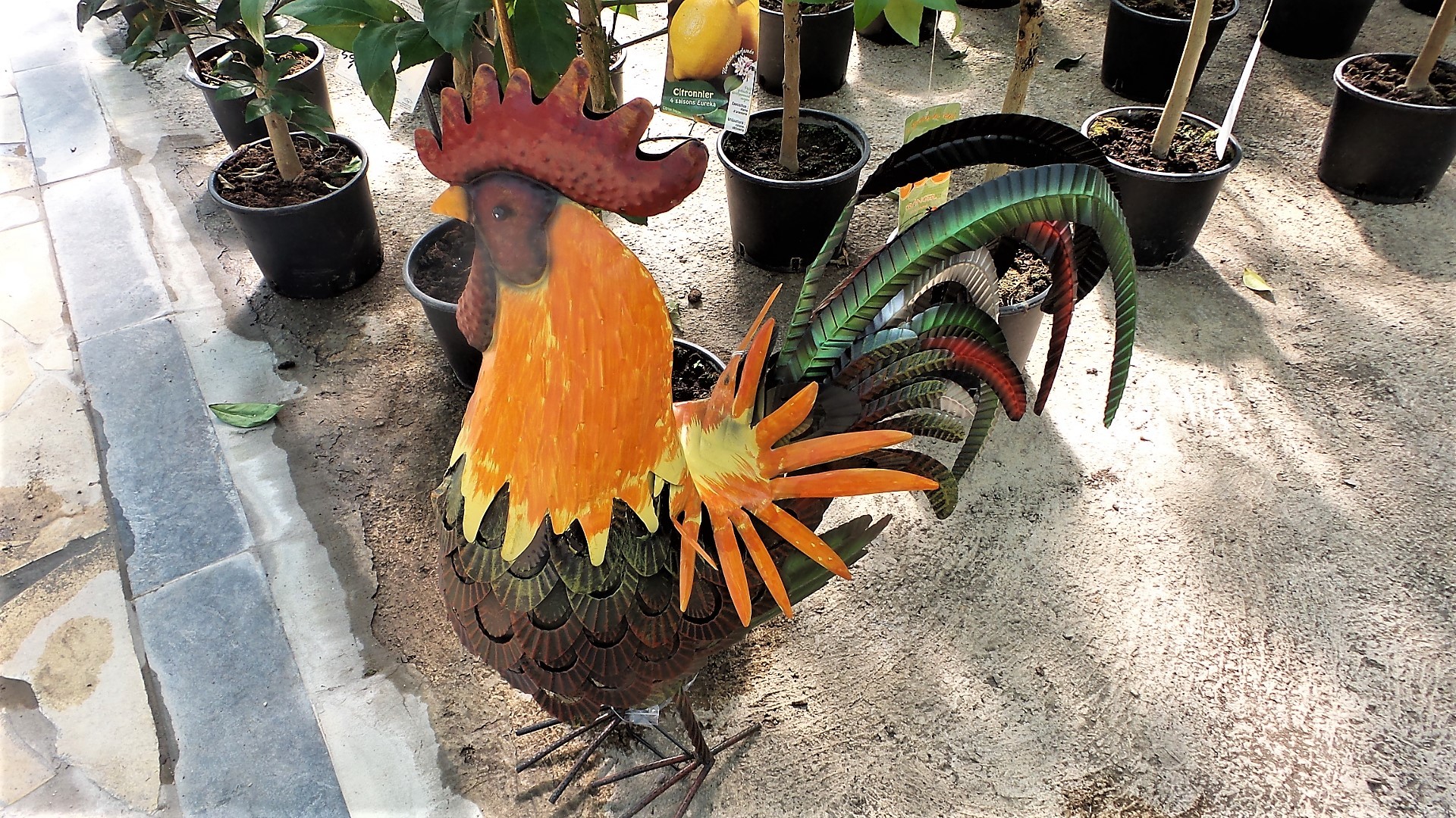 Nos objets de décoration 