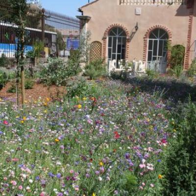 Réalisation d'un jardin