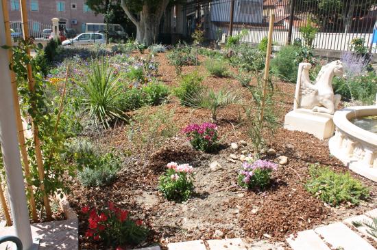 Réalisation d'un jardin