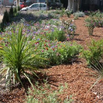 Réalisation d'un jardin