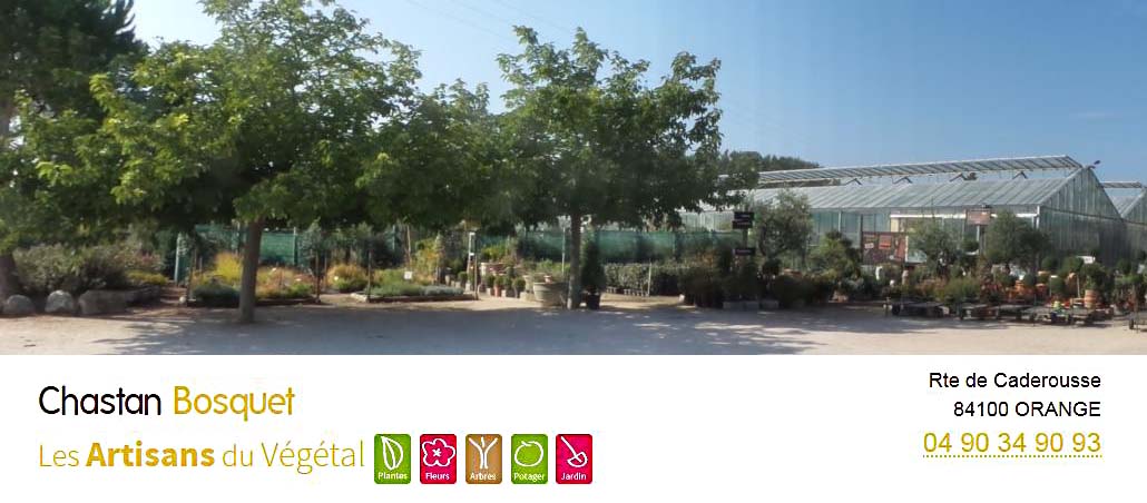 Pépinieriste horticulteur Chastan Bosquet à Orange